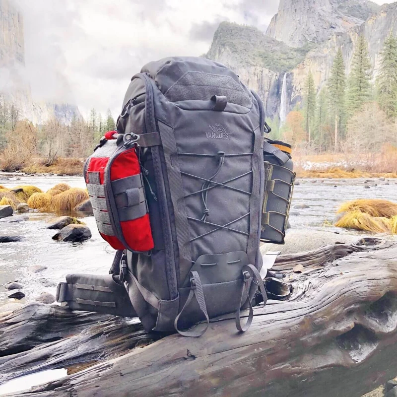 Have You Seen Our Friend Molle?